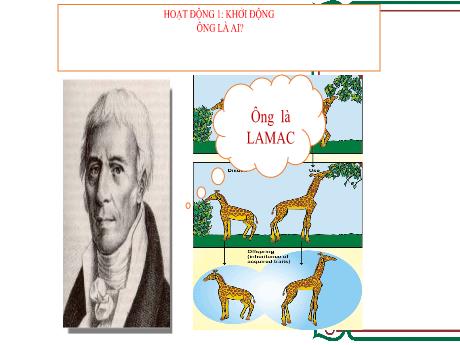 Bài giảng Sinh Học 12 - Bài 26: Học Thuyết Tiến Hóa Tổng Hợp Hiện Đại
