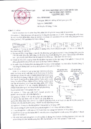 Đề thi chính thức Kỳ thi HSG THPTQG Năm học 2022-2023 - Môn Sinh Học (Kèm đáp án chi tiết)