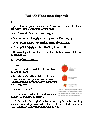 Kế hoạch bài dạy Sinh Học 11 - Bài 35: Hoocmon thực vật