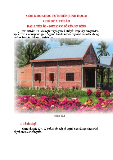 Nội dung Dạy học Linh hoạt Sinh Học 6 - Chủ đề 7, Bài 12: Tế bào - Đơn vị cơ sở của sự sống (Tuần 1)