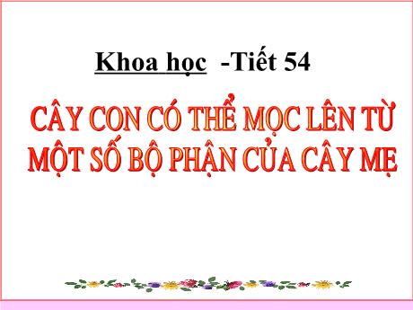 Bài giảng Khoa học 5 - Tiết 54: Cây con có thể mọc lên từ những bộ phận nào của cây mẹ