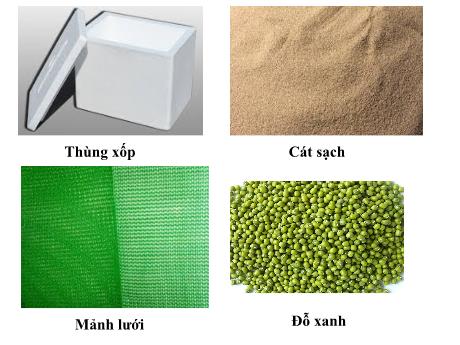 Bài giảng Khoa học tự nhiên Lớp 7 - Quy trình làm giá đỗ