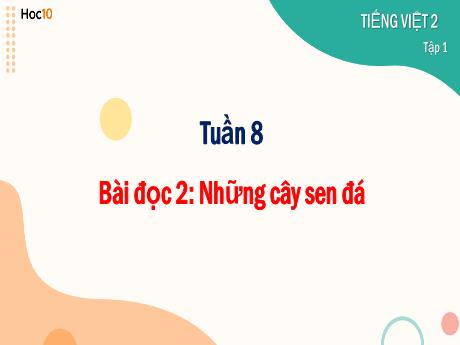Bài giảng Tiếng Việt 2 - Tuần 8 - Bài đọc 2: Những cây sen đá