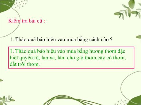 Bài giảng Tiếng Việt 5 - Tập đọc: Hành trình của bầy ong