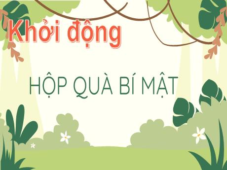 Bài giảng Toán Lớp 2 - Luyện tập