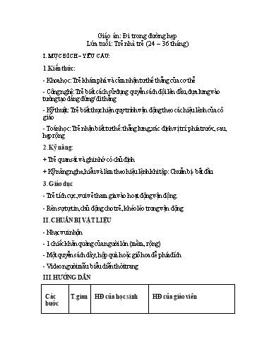 Giáo án Mầm non Lớp Nhà trẻ - Đi trong đường hẹp