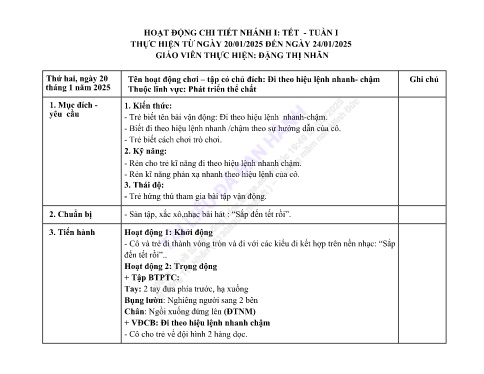 Giáo án Mầm non Lớp Nhà trẻ - Nhánh 1: Tết - Năm học 2024-2025 - Đặng Thị Nhãn